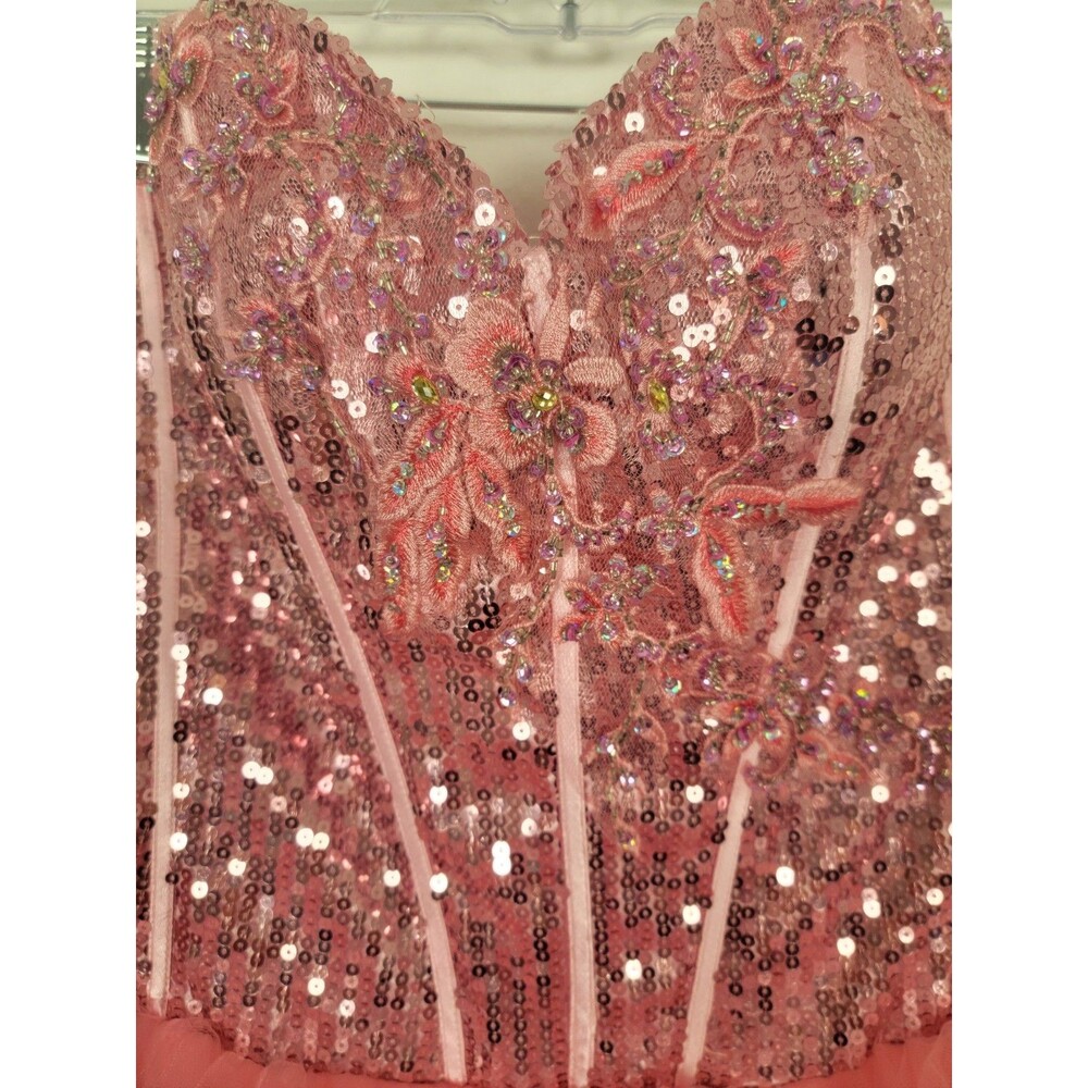 Aspeed Pink PrincessCore FairyCore Corset Tutu Dress Tulle Size 2X - Picture 9 of 16